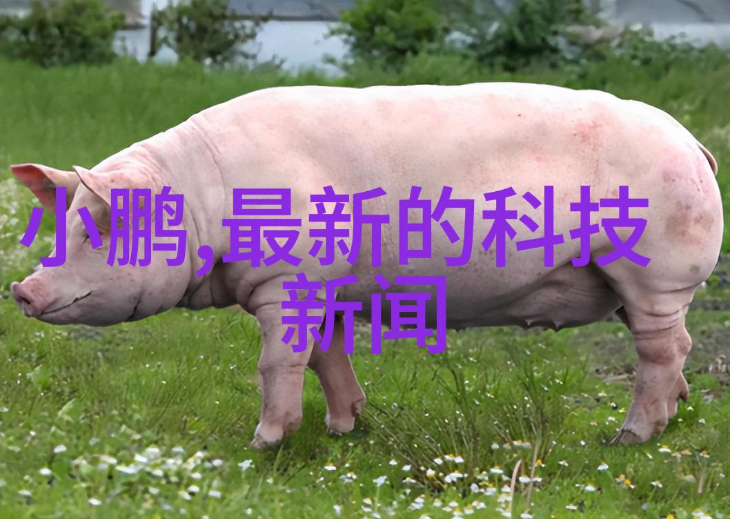 小空间大气创意卧室布局设计图