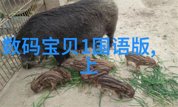 Teflon密封圈在输送系统中的重要性