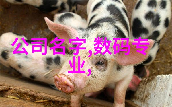 如何评估一位人才的潜能与智慧
