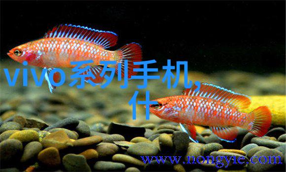 中国专利局官方网查询我来告诉你如何一手掌握最新的专利动态