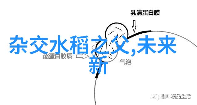 萃取塔的工作原理分液过滤与精炼的科学艺术