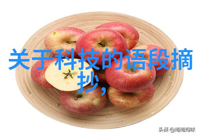 主题我在中国科学技术大学的奇妙探索