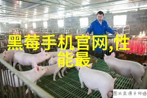 欧美无人区码卡二卡3卡2022-穿越异域揭秘欧美无人区的独特通信秘密