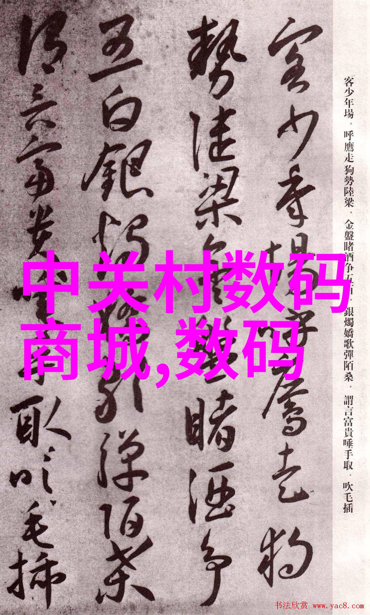 清澈江河水质检测的科学守护者
