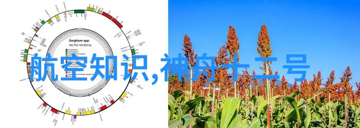 不锈钢反应釜与FRP搅拌器的结合应用实例分析
