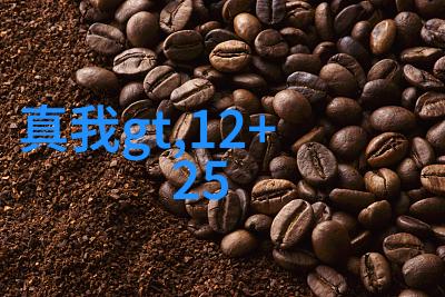 从基础搭建到细节完善毛坯房装修的全程指南