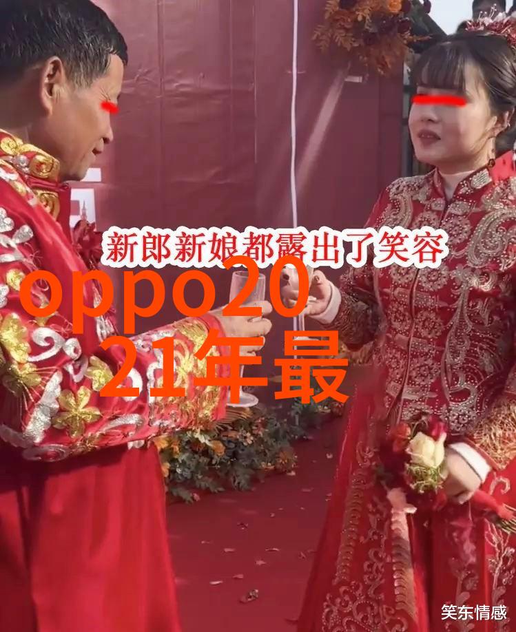 铜铝破碎分离机我的小伙伴在回收站的新征程
