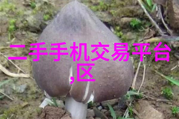 北斗芯片引领全球定位技术的新里程碑