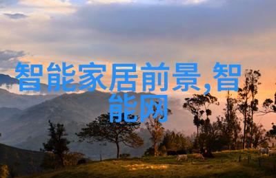 jsa概述从基础概念到实践应用的全方位解析
