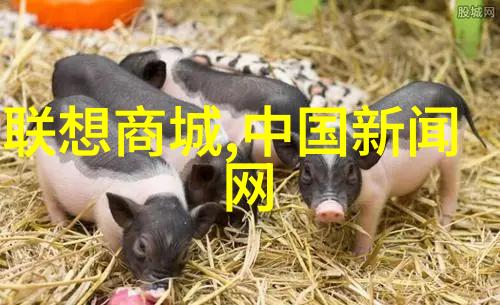 记录与追踪如何记录和分析牙科高压灭菌过程数据