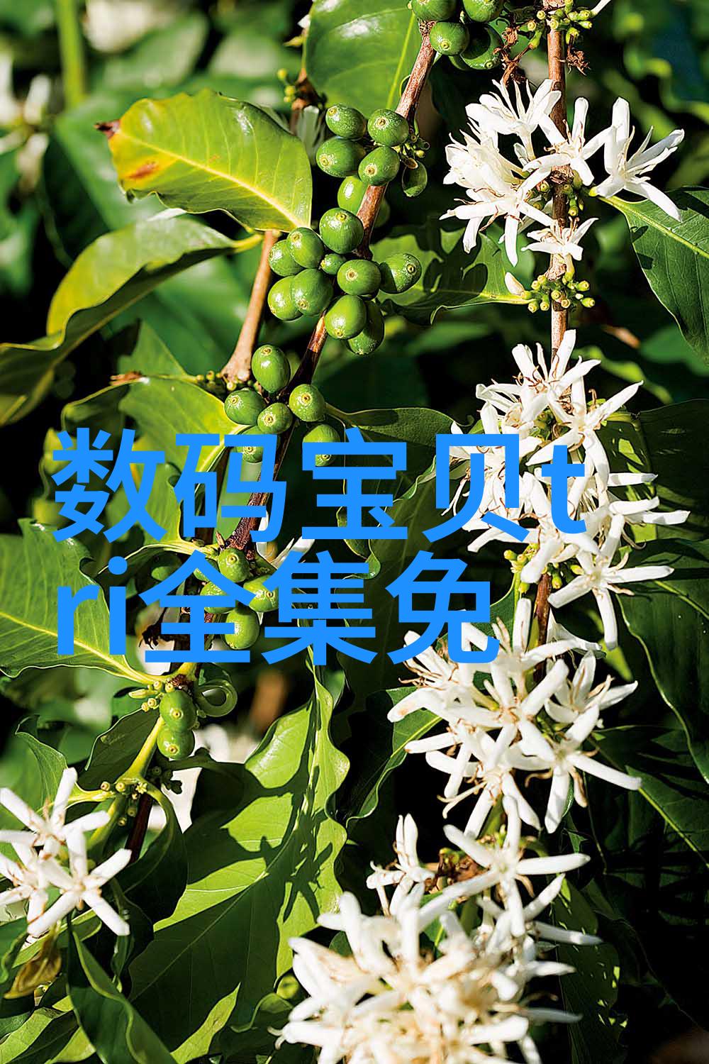 信息产业安全测评中心数据隐私保护与网络安全审计