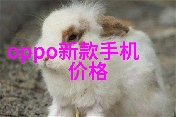 大型污水处理一体化设备高效清洁未来技术创新与环保的双刃剑