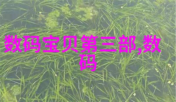 家居美学的诞生新房装修顺序指南