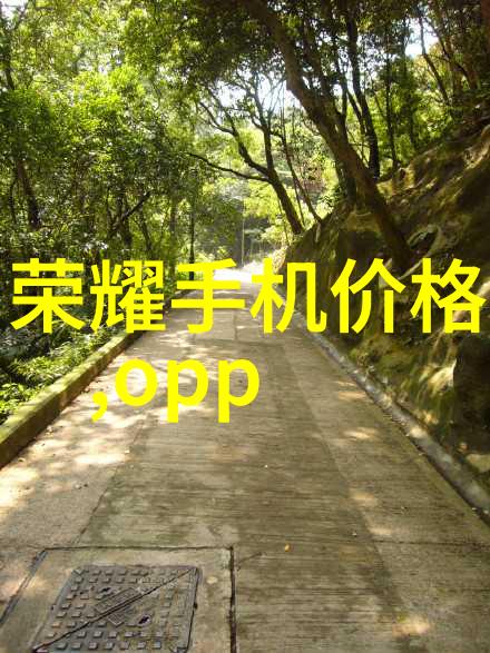 水质快速检测仪器我是如何用一台小巧仪器揭开了家里的水源秘密的