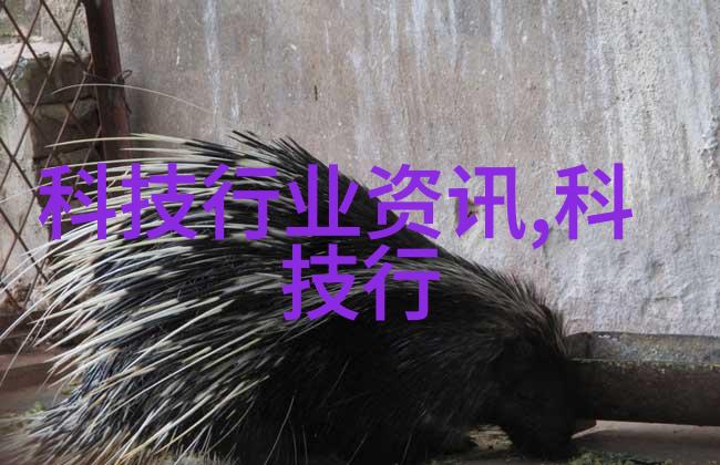 家庭水质检测的必备仪器揭秘家用水质分析工具