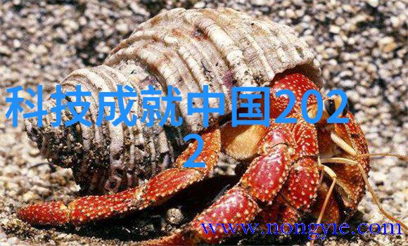 交换空间-空间转换如何创造性地改造你的生活环境