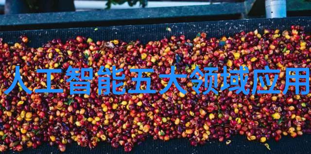 泪雨交加的归途贺朝谢俞C的哭车之旅