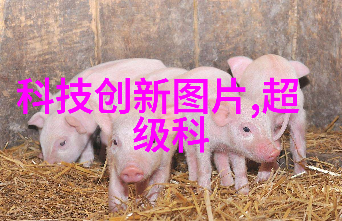 今日不锈钢304价格表我来告诉你一日之计在于晨最新不锈钢304价格行情