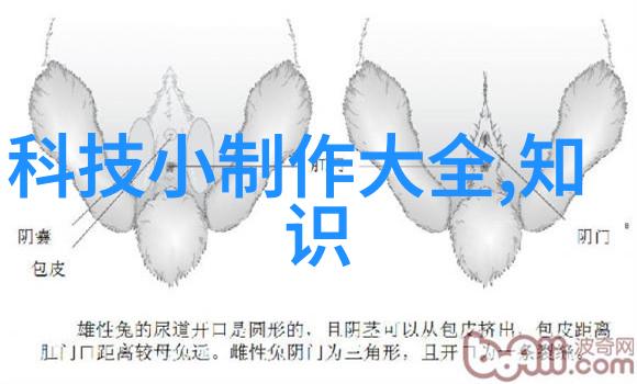 不锈钢深加工品种及其特点
