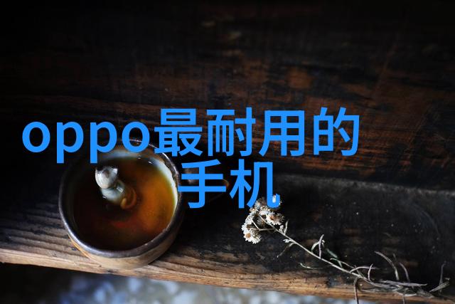 高精度电子天平使用心得体会