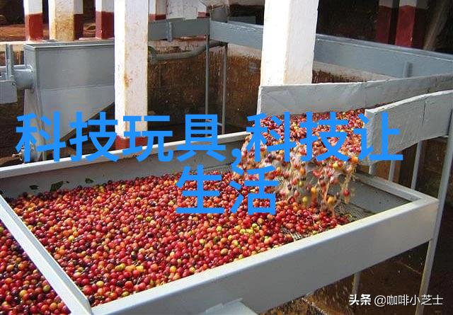 自耕女探索自己的老婆自己养在现代家庭中的新理念