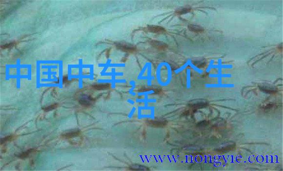 恃宠必败骄傲的代价与反思