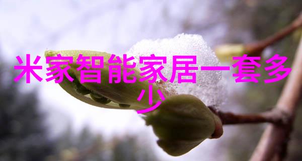 厨房装修设计 - 蓬勃创意的艺术如何打造个性化的家庭烹饪空间