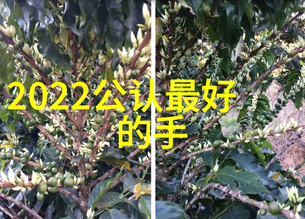 小型纯净水设备家用神器让清凉源自你我的厨房角落
