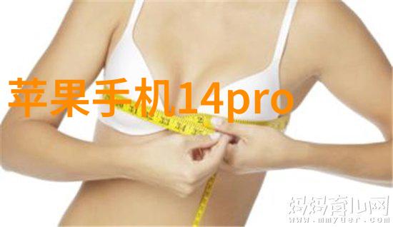 苏尔寿填料研究探索中古文明的材料与技艺