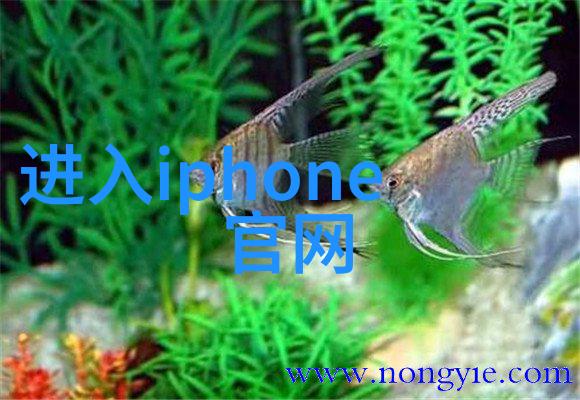小型吸泥机家居清洁的智能助手