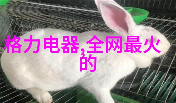 房地产融资模式的演变与买房贷款政策的优化研究