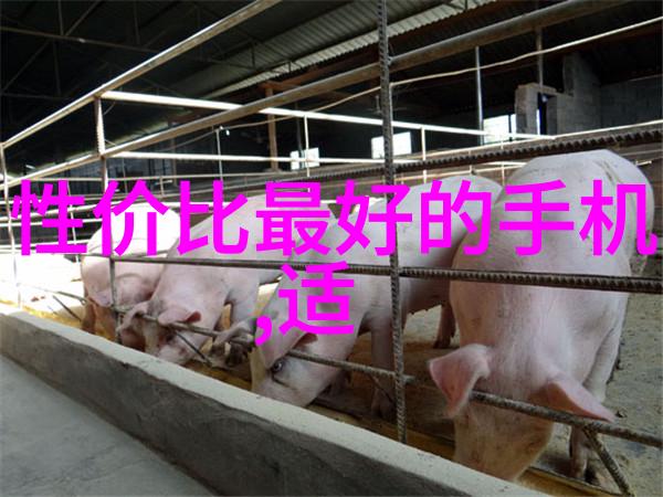 机器的心跳油冷机的秘密