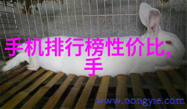 校花小柔舞蹈室遭遇记小说校园美少女的舞台挑战
