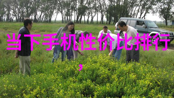 化工胶囊剂机械背后的神秘之谜在哪里