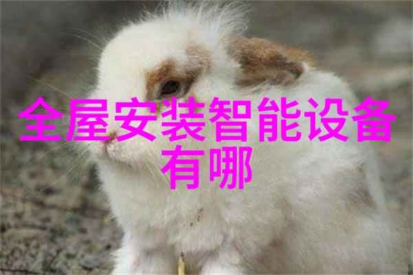 废气冷凝器从污染源到清新梦想的逆袭故事
