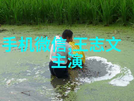 化学工程在现代化生产中的应用与挑战