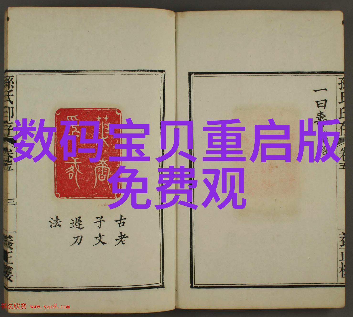 现代化屠宰设备如何减少污染和废物产生