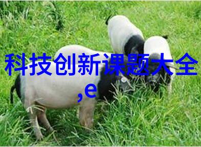 电蒸汽发生器转换能量的先锋技术