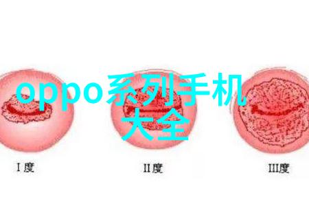 探究家庭生活中的纯净度利用TDS测试结果