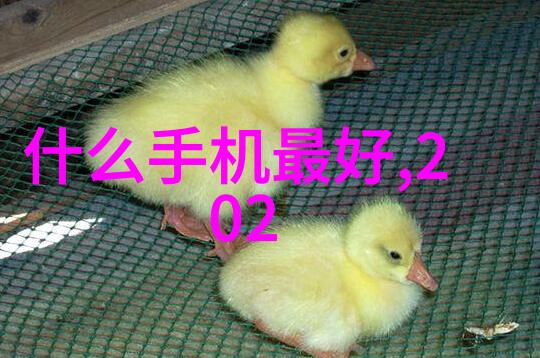 医疗高压灭菌设备厂-保健之翼医疗高压灭菌设备厂的创新与实力