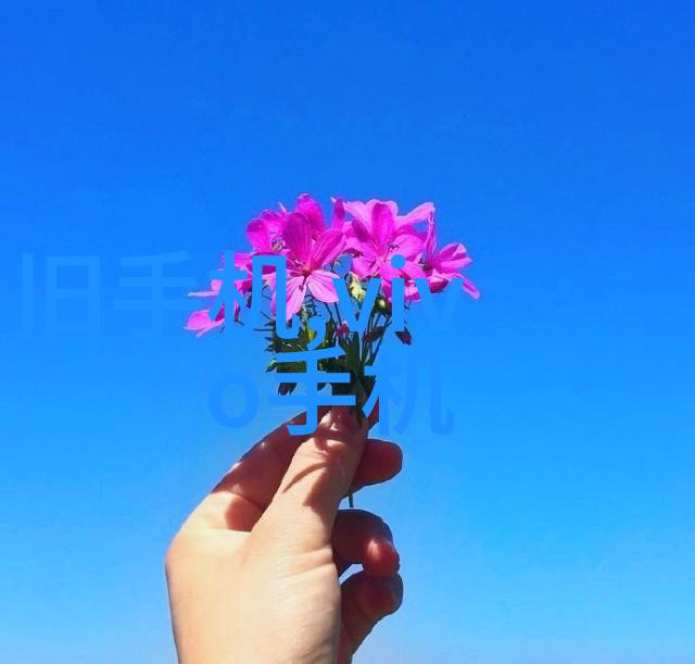 穿裙子工作的便利与魅力探究