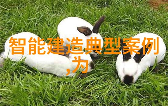 信息安全测评-网络防火墙的强度测试与策略优化