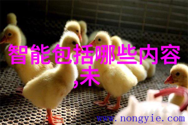 全息视界现代监控技术的革命性进步