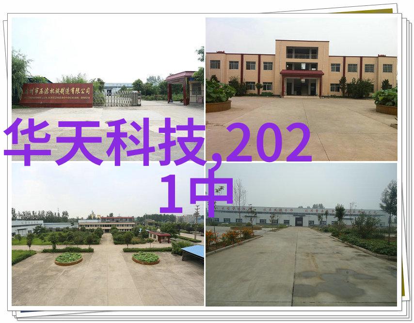 金银花露姜可的幻想之旅