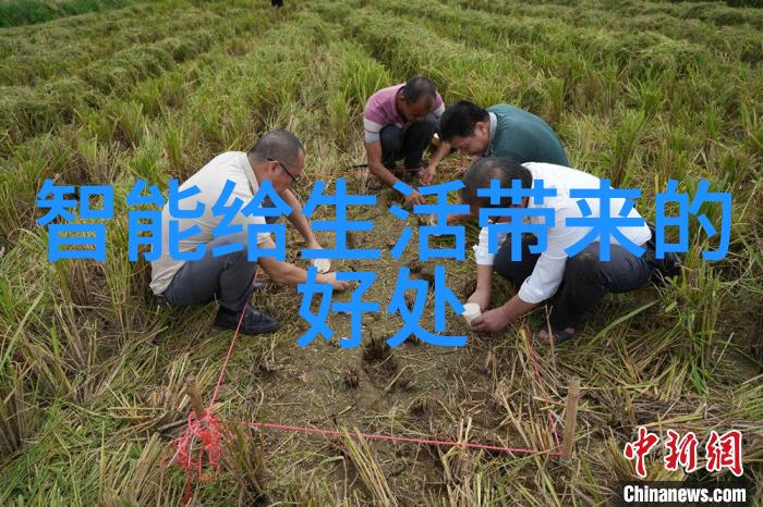 北森人才测评试题及答案-精准评估解密北森人才测评试题与答案的秘密