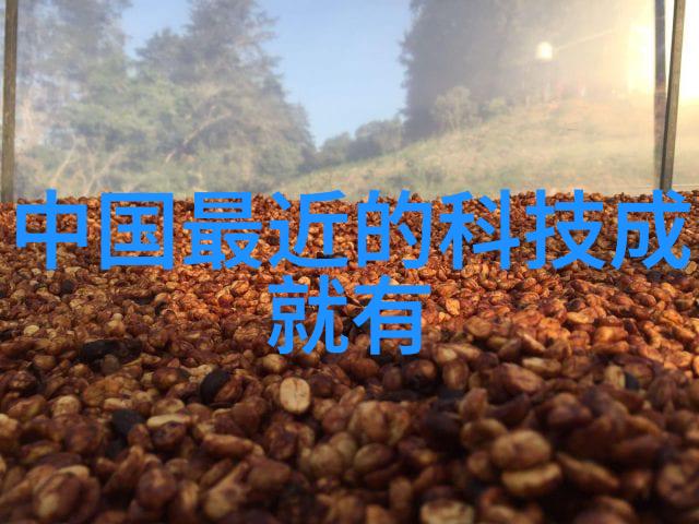 大型微通道反应器我是如何在实验室中提升效率的秘诀