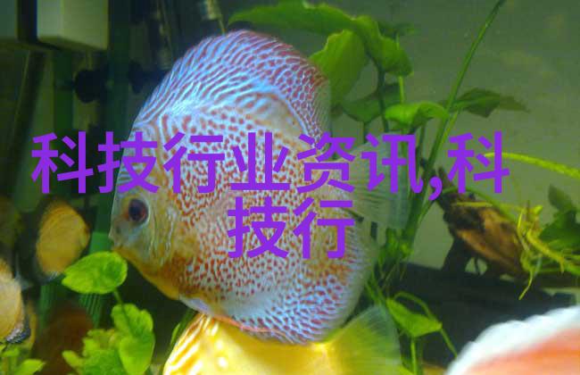 蓝天航空王静翱翔云端的女飞行员传奇