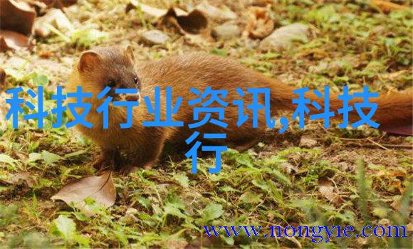 如何编制有效开题报告实用策略与模板分享