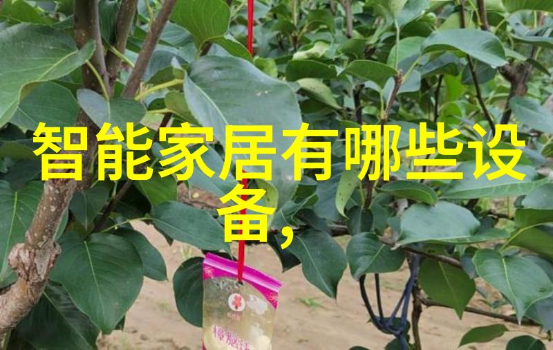 现代科技如何影响传统的水产养殖测量方法