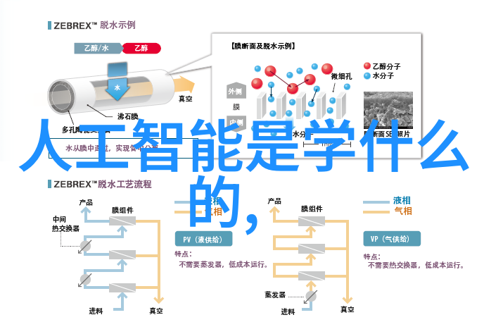 绿色循环如何正确利用废品回收网站